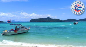 Tawan-Vacations-Pig-Island-017